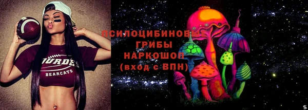 бошки Богданович